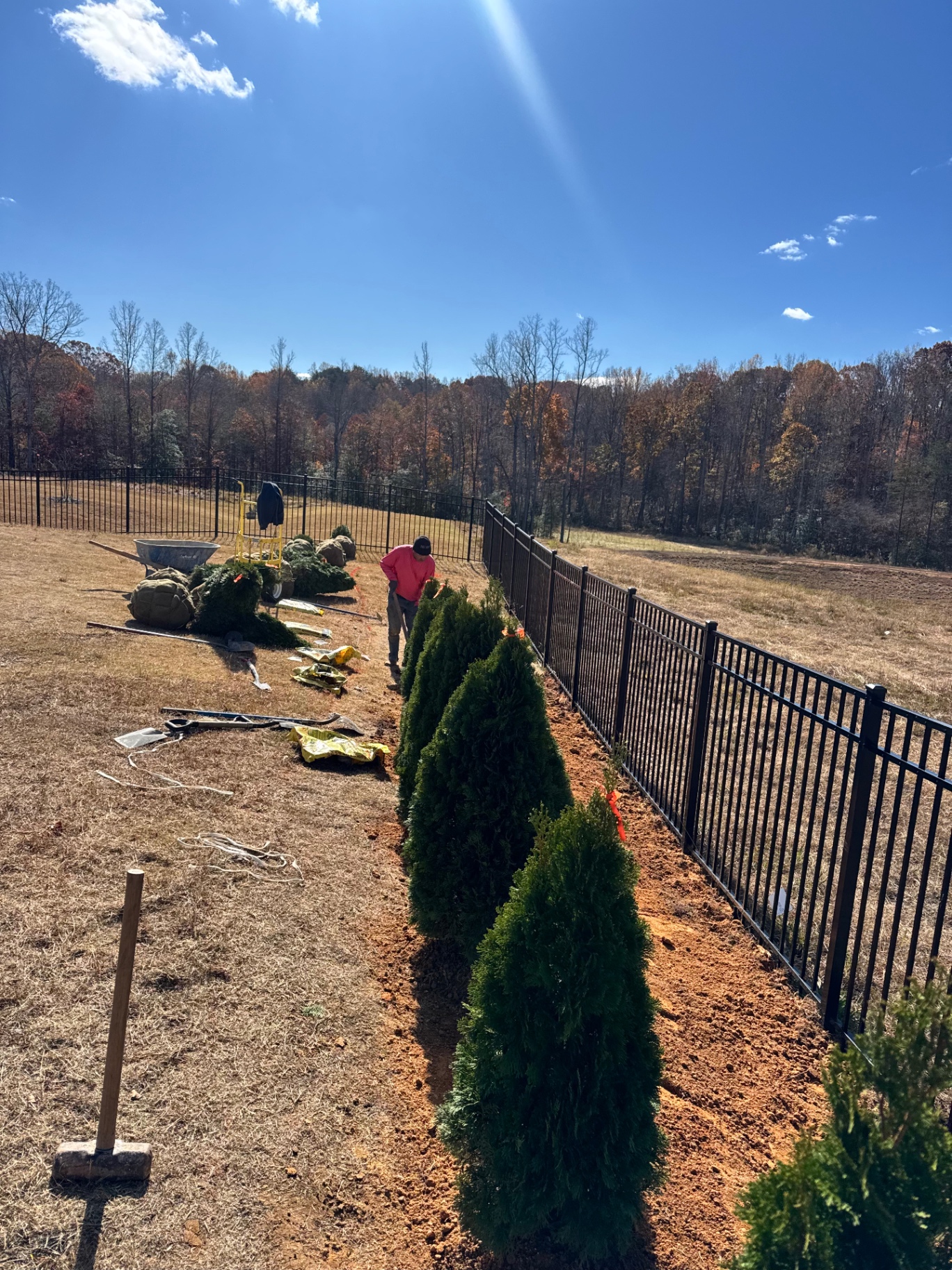 Crew planting a row of arborvitae along a black aluminum fence line in Mooresville, NC